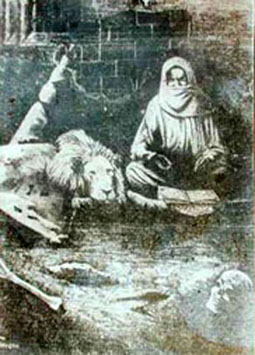 serigne touba et lion